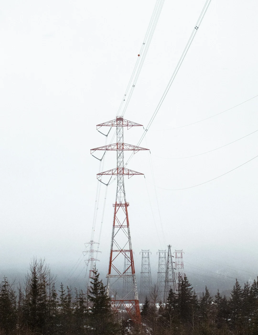 Transmission towers rising above a forest in mist.