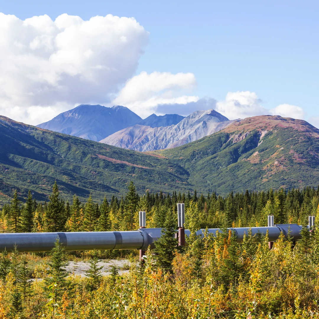 A pipeline above ground crossing a wooded mountain landscape.