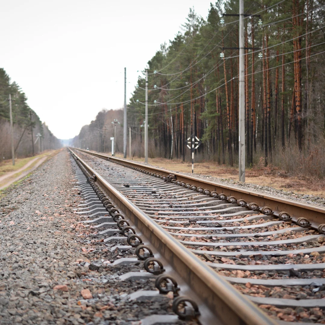 Railway tracks and overhead lines running beside a forest.