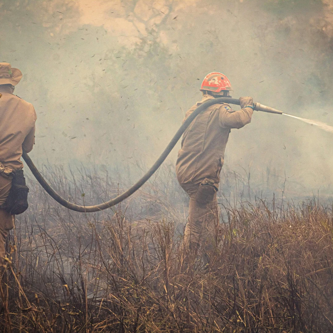 Firefighters working with a hose in smoky vegetation.